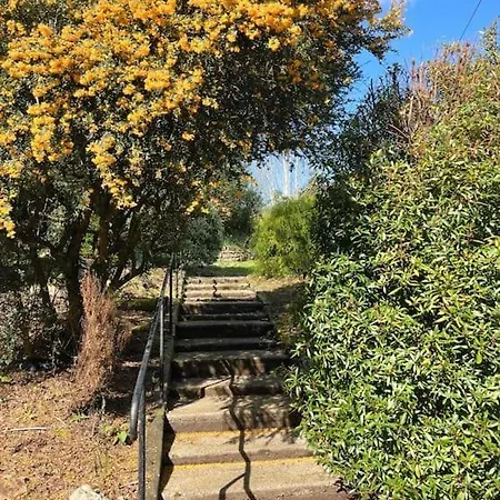 Haven House 웩스퍼드