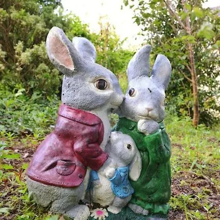 Haven House 웩스퍼드