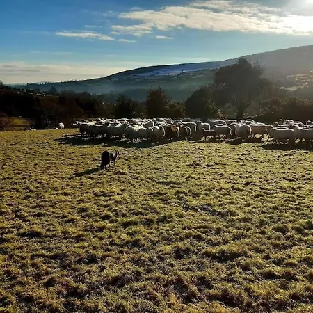 Haven House * 웩스퍼드