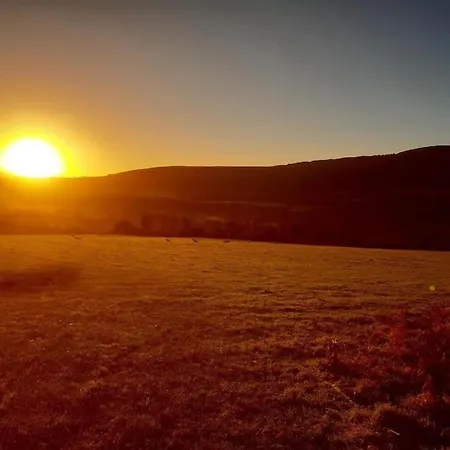 Haven House 펜션 웩스퍼드