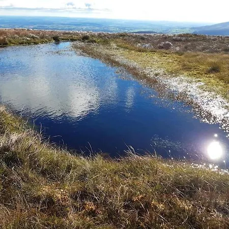 Haven House 웩스퍼드