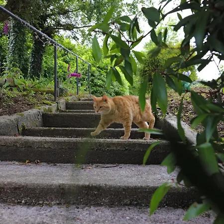 Haven House Feriehus