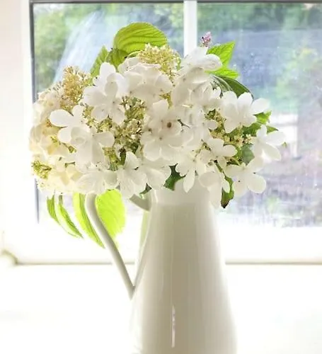 Дом отдыха Haven House