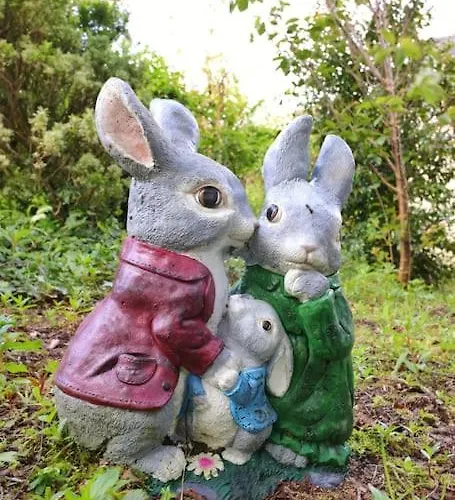 Haven House Уэксфорд