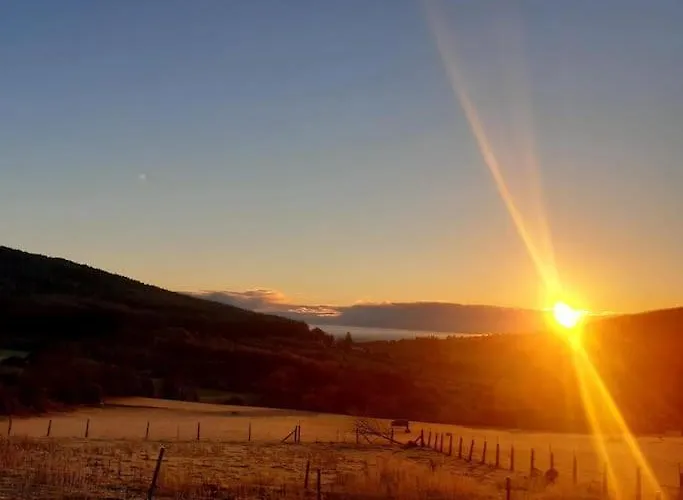 Haven House Уэксфорд