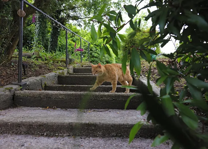 Haven House Holiday home